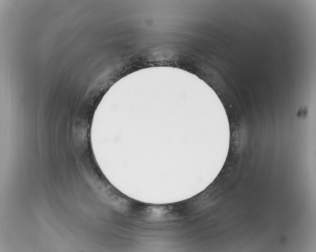 X0000112500662200909281158