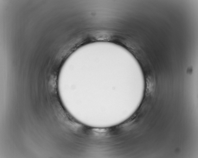 X0000112500667200909281159