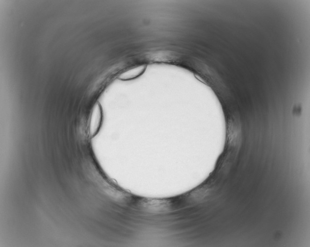 X0000112500670200909281159