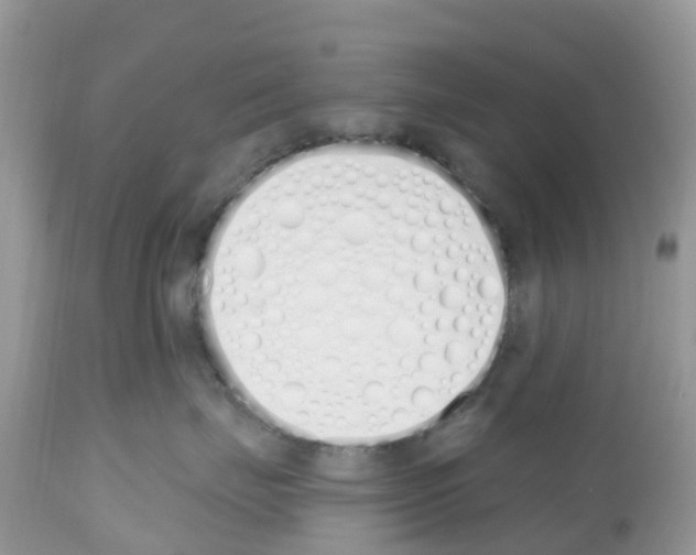 X0000112500671200909281159