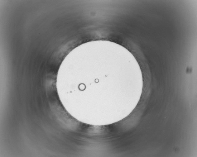 X0000112500672200909281159