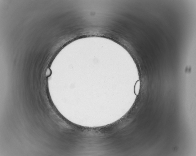 X0000112500673200909281158