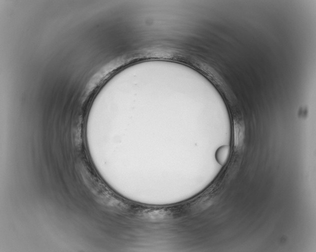 X0000112500675200909281158