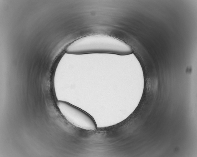 X0000112500676200909281158