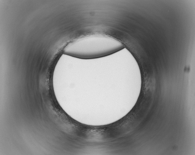 X0000112500680200909281158