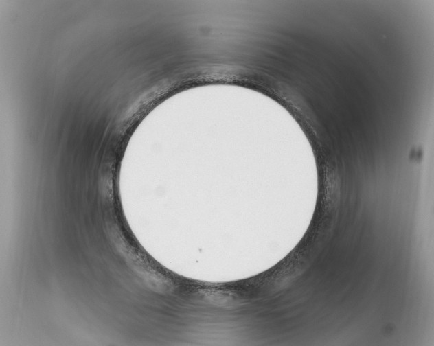 X0000112500681200909281158