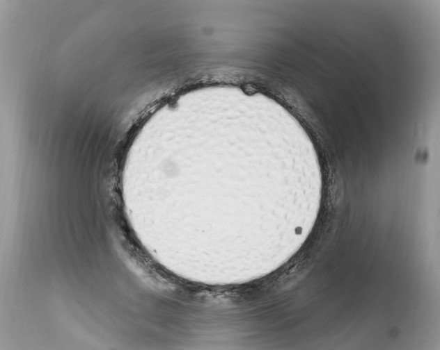 X0000112500683200909281157