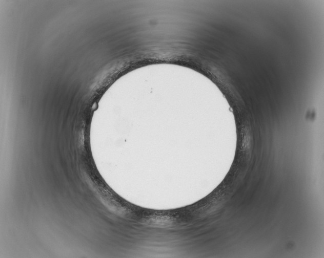 X0000112500685200909281157