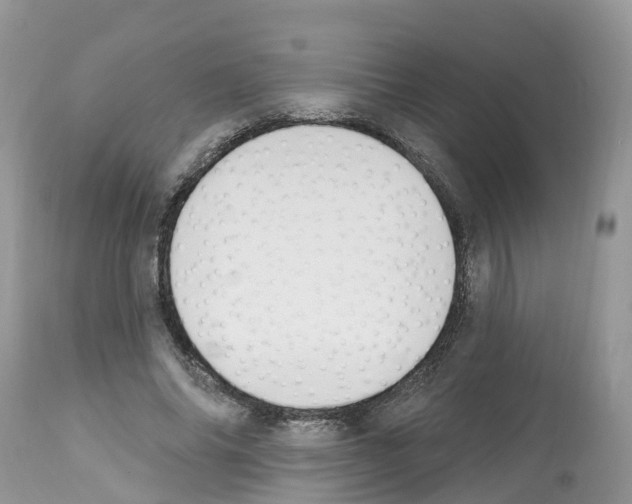 X0000112500686200909281157