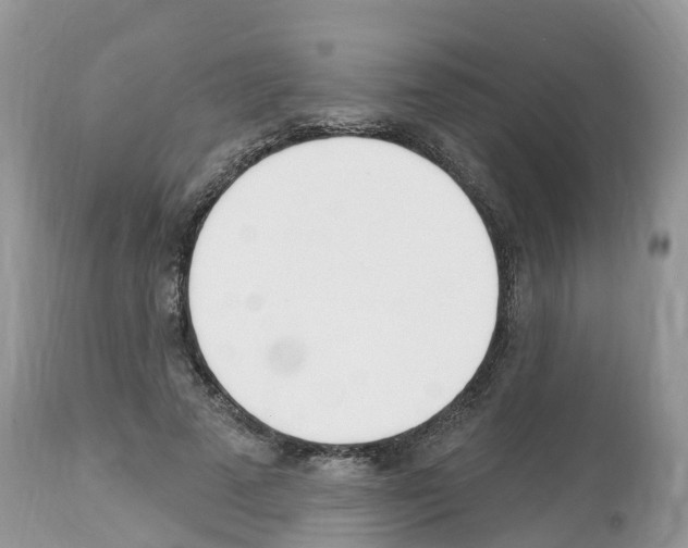 X0000112500689200909281157