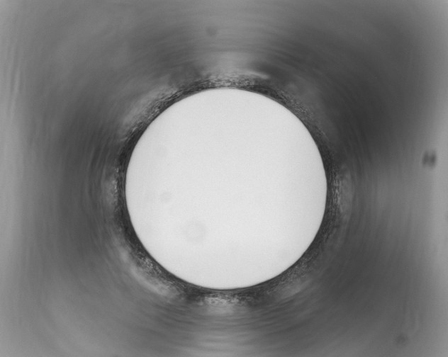 X0000112500690200909281157