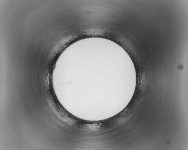 X0000112500692200909281157