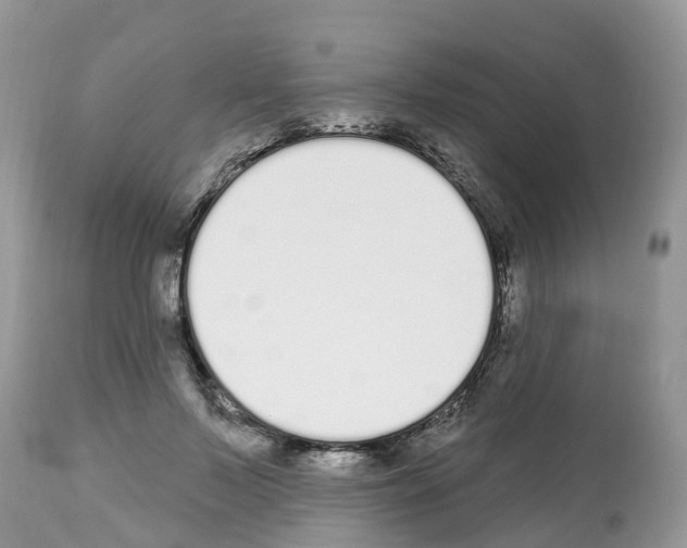 X0000112500695200909281157