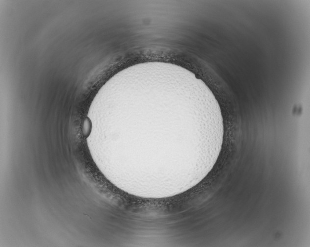 X0000112500696200909281157