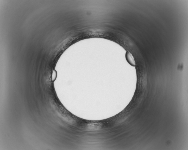 X0000112500700200909281157