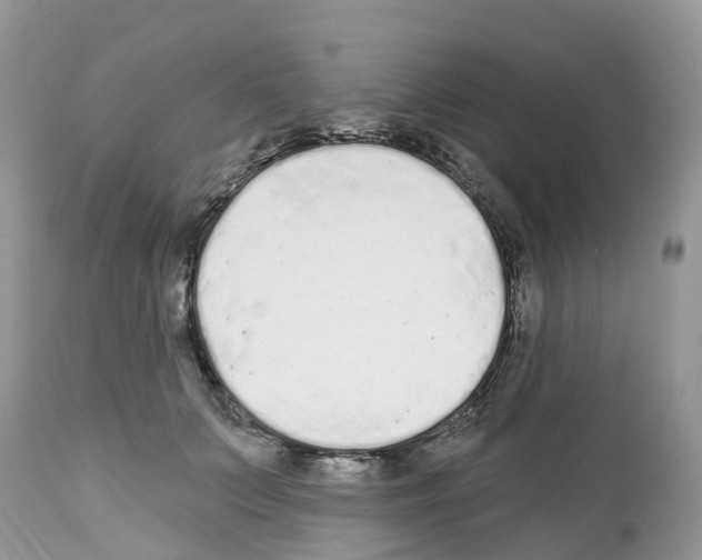 X0000112500703200909281157