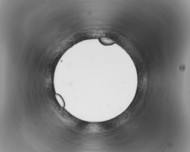 X0000112500704200909281157