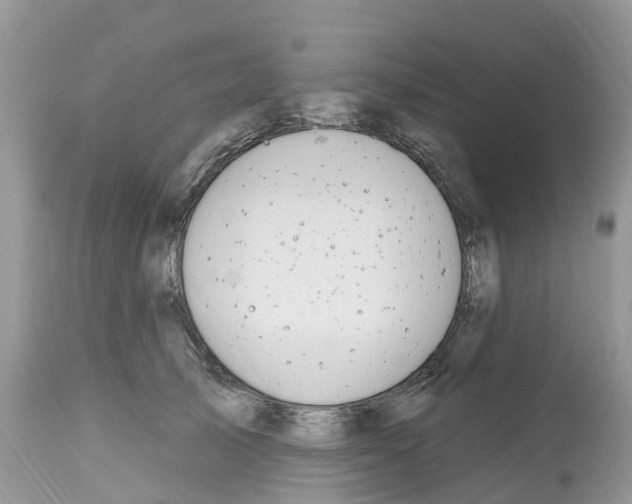 X0000112500705200909281157