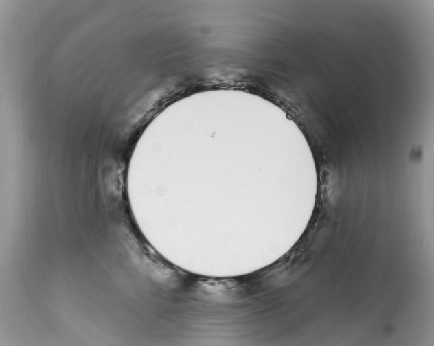 X0000112500712200909281157