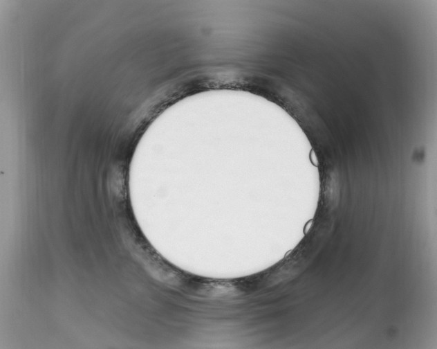 X0000112500715200909281157