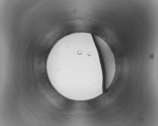 X0000112500716200909281157