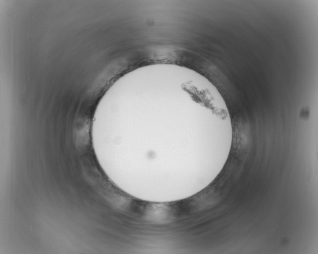 X0000112500717200909281157