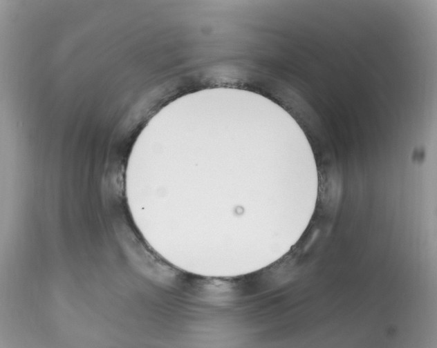 X0000112500718200909281157