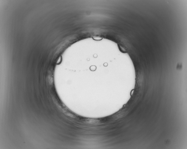 X0000112500719200909281157