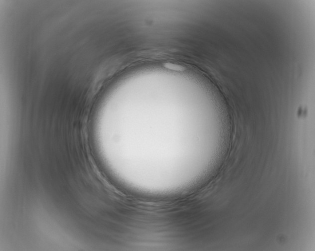 X0000112500720200909281157