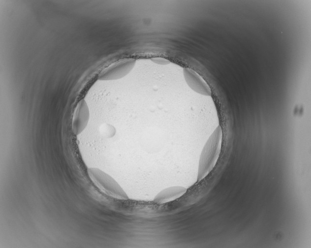 X0000112500721200909281156