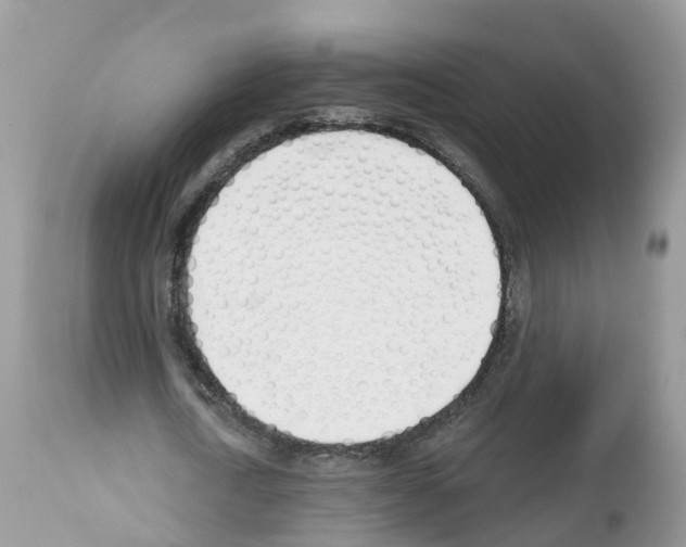 X0000112500722200909281156