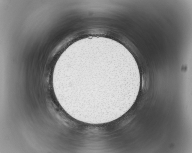 X0000112500723200909281156