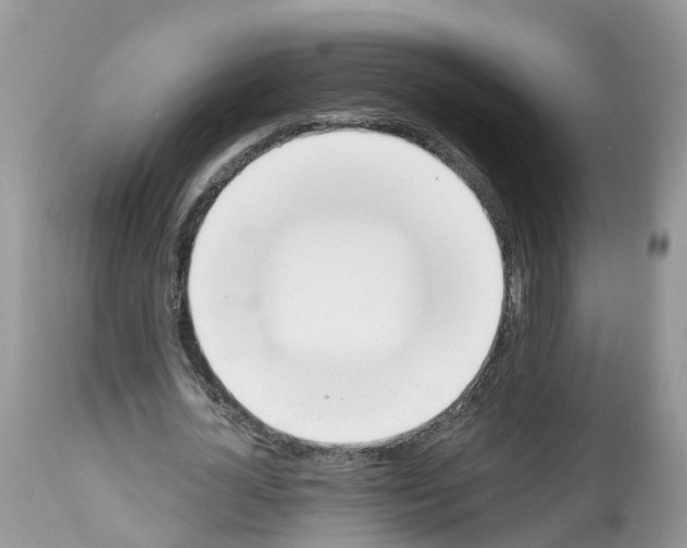 X0000112500724200909281156