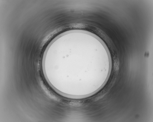 X0000112500725200909281156