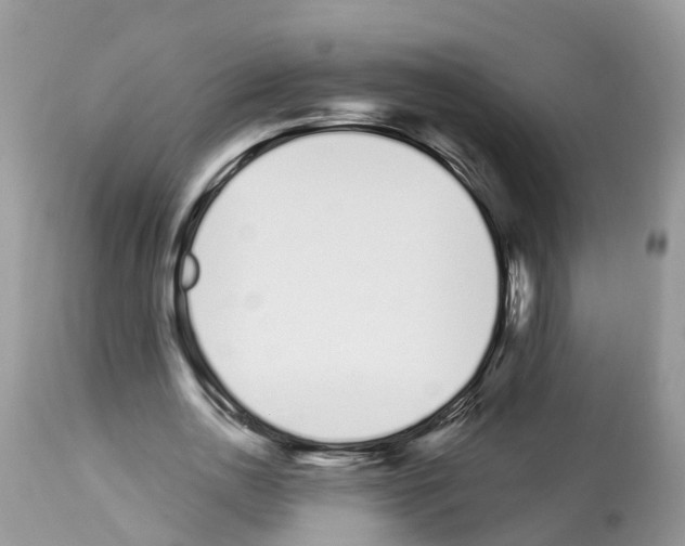 X0000112500726200909281156