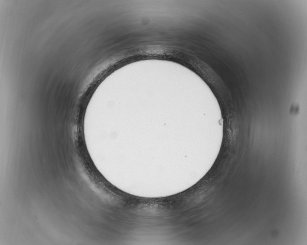 X0000112500728200909281156