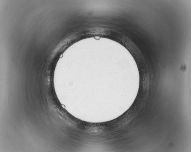 X0000112500731200909281156