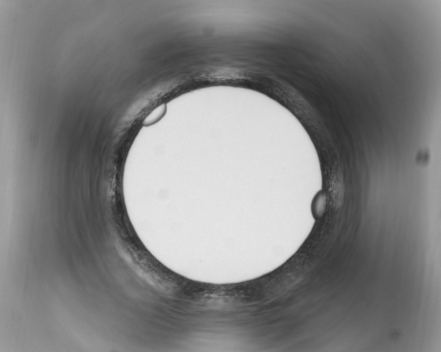 X0000112500732200909281156