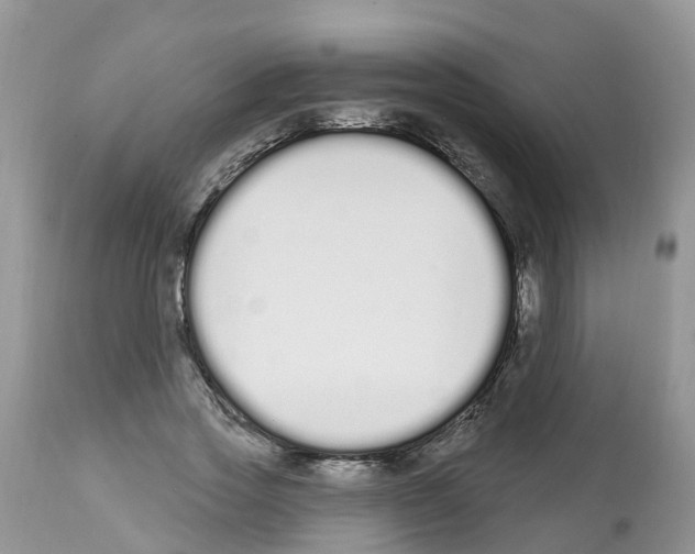 X0000112500733200909281156