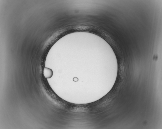 X0000112500734200909281156