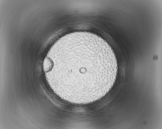 X0000112500735200909281156