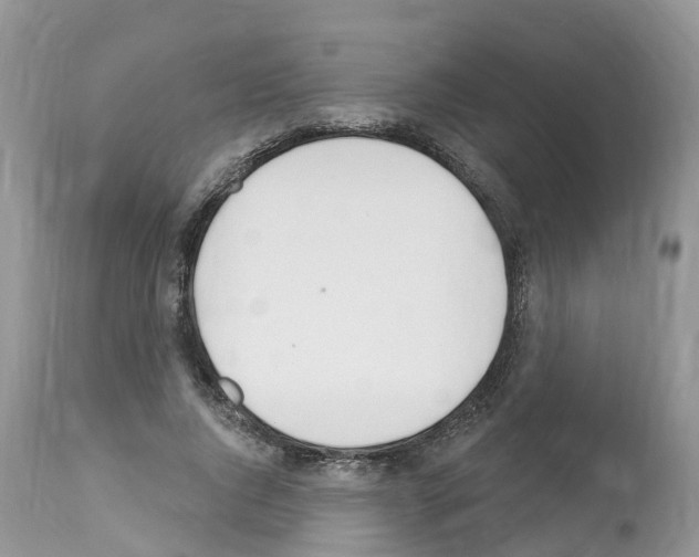 X0000112500736200909281156