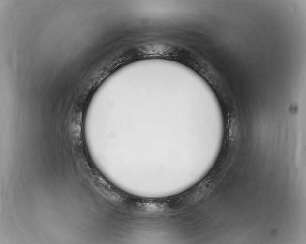 X0000112500737200909281156