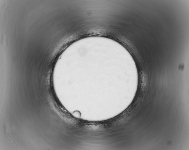 X0000112500738200909281156