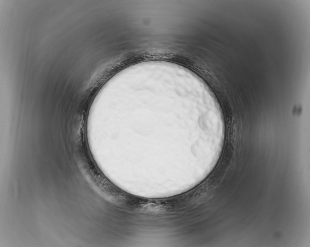 X0000112500742200909281156