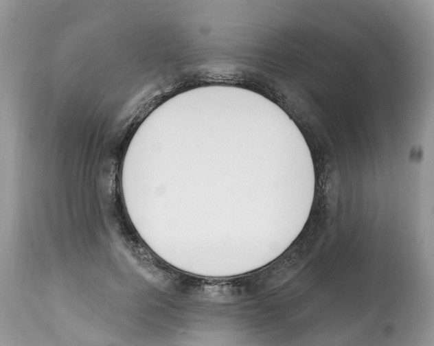 X0000112500744200909281156