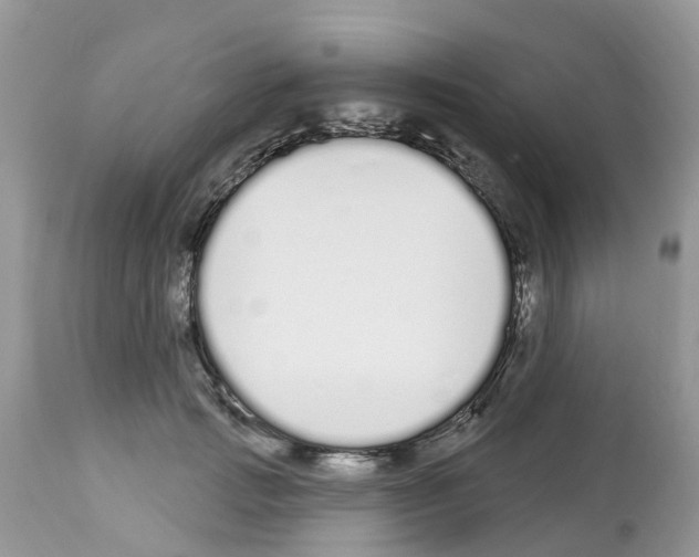 X0000112500749200909281157