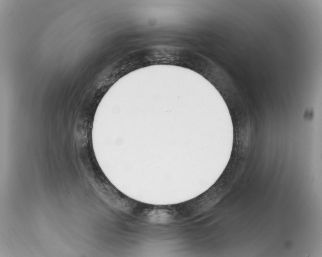 X0000112500751200909281157