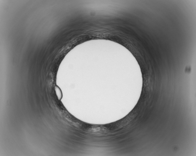 X0000112500752200909281157