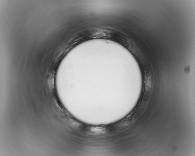 X0000112500753200909281157